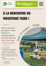 Visite de jardins partagés - les Compostiers du Landsberg, Strasbourg, 15 octobre 2026